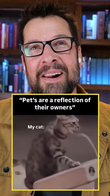 If my cat could talk