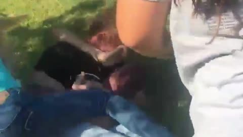 HIT ME WITH THE BAT BEETCH - PING!!!!!!