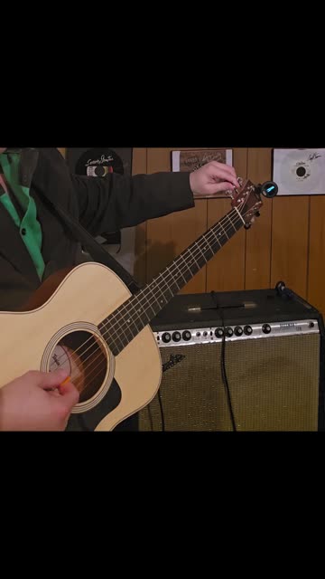 Snark Super Tight Tuner.