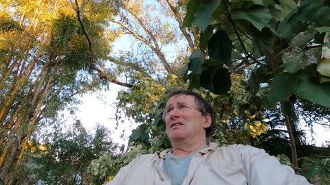 Loft Entrance Ceiling Repair 3