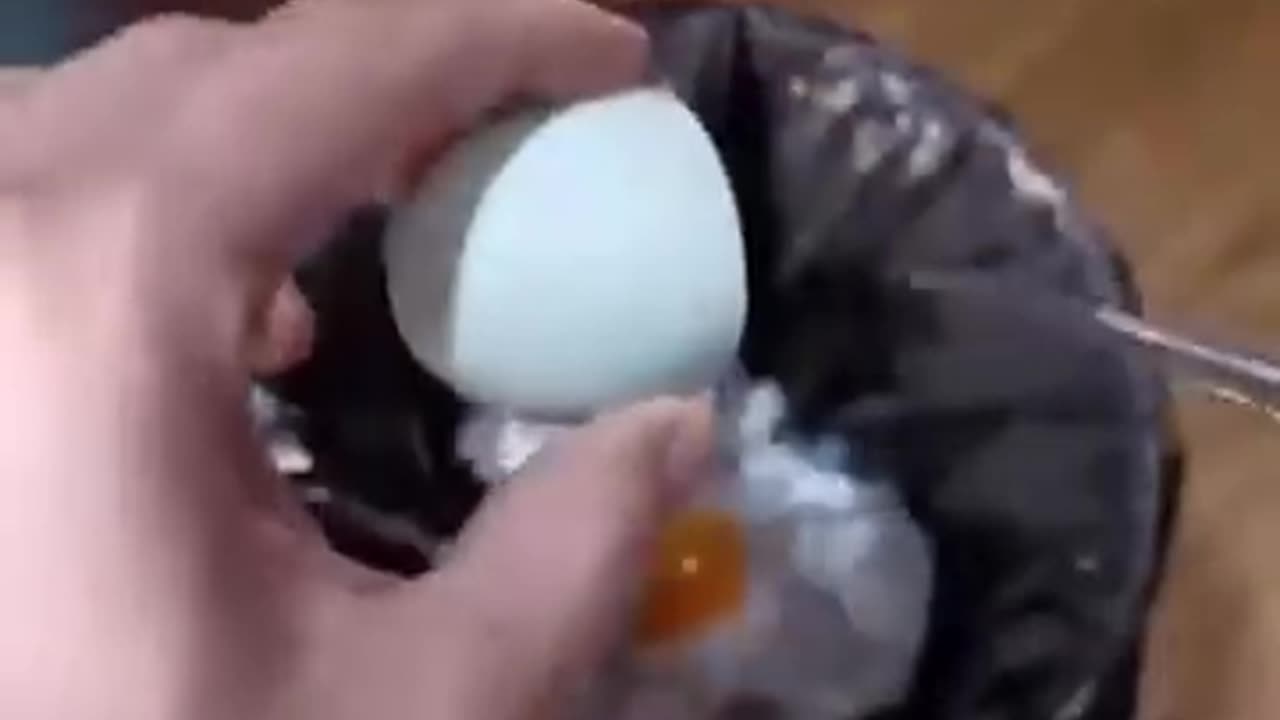 how a chick born from a egg