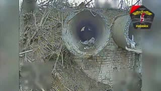 💥🛸 Ukraine Russia War | Ukrainian FPV Drones Strike Russian Positions | RCF