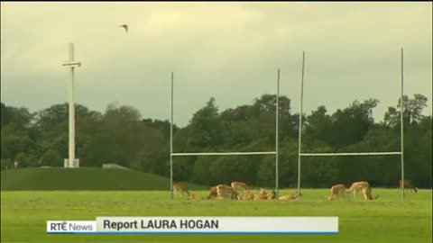 RTÉ News 31st May 2019