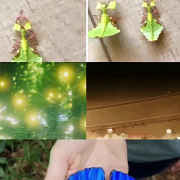 @ARA712LiteVids Humans 👥 discover new things every day,He creates what we dont know.