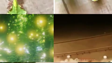 @ARA712LiteVids Humans 👥 discover new things every day,He creates what we dont know.