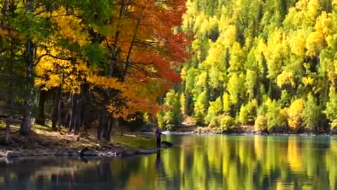 🌿 Mesmerising Nature | Relaxing Scenic Beauty 🍃✨