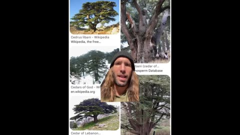 America is The Real Holy Land