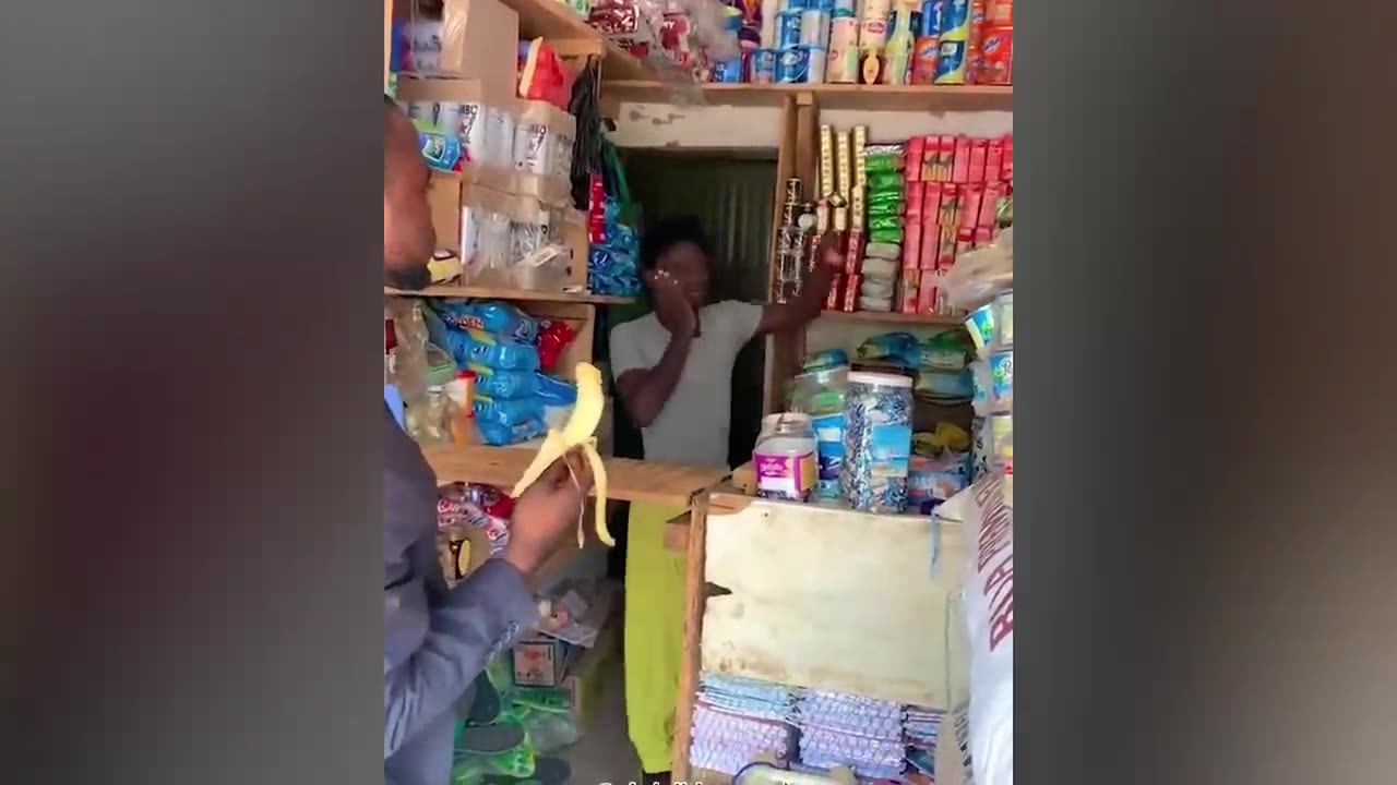 _🤣 Try Not To Laugh - BY Funny Dog 🏖️ #9