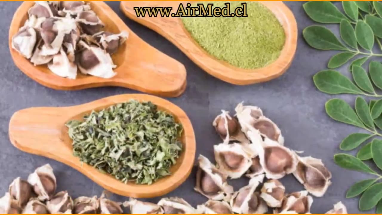 25 Beneficios de las Semillas de Moringa