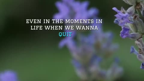 🙏🎬 Short Prayer | A Moment of Reflection | InGodWeTrustDaily