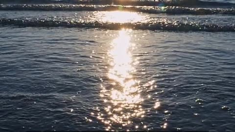 Daily Horoscope | Cancer 🌟