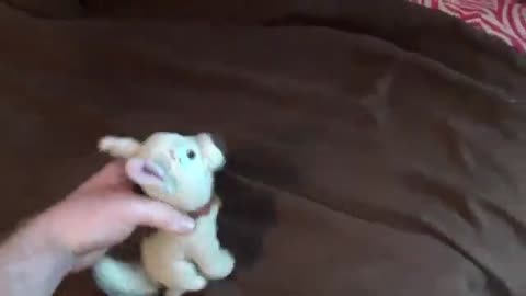 Ksmantle Goes to California