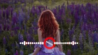 Mi Querida (My Darling) Song