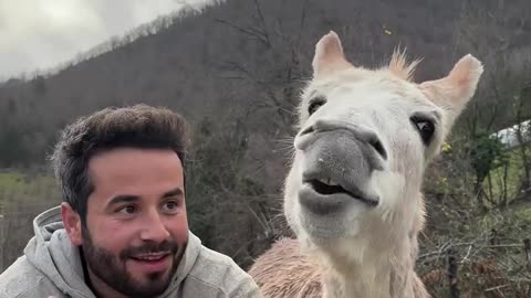 The Donkey Who Loves Oranges!