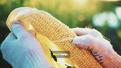 TRUMP TO HELP FARMERS WITH TARIFFS