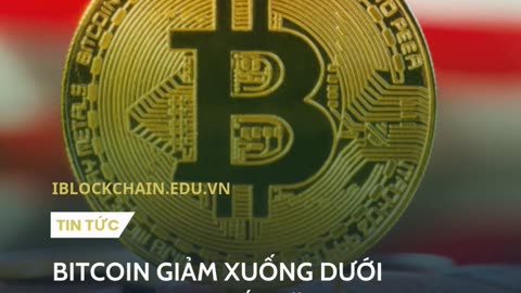 Bitcoin giảm xuống dưới 80.000 USD - iblockchain.edu.vn