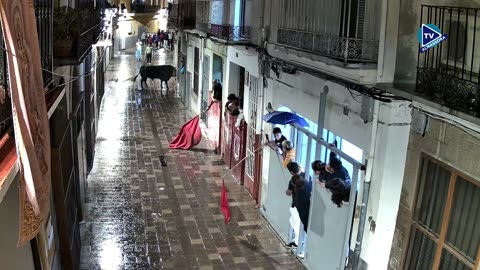 2 TORO NOCHE 11oct SERVIDITO ganaderia EL PILAR N 72 | FESTES DEL ROSER 2025