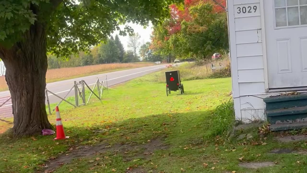 Mini Motorized Buggy