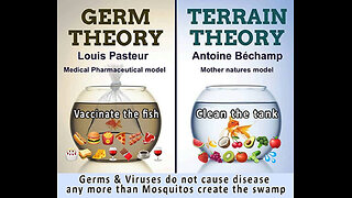 THE TERRAIN: A GRAND THEORY OF HEALTH, DISEASE, AND THE LIVING FIELD
