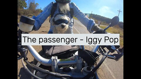 The passenger - Iggy Pop