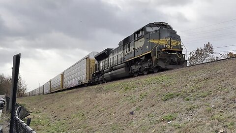 Mid-November Catches!