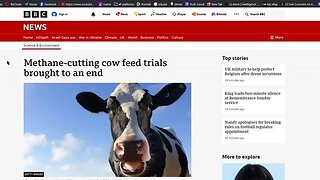 Wow - Bovaer trials brought to an end - Smoke&Mirrors