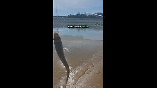 Thanksgiving Day Catch at Denison Dam #flyfishing #fishing #fun