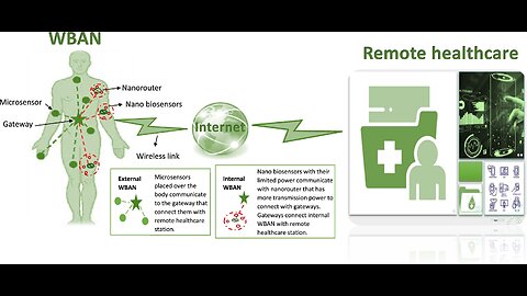 bioelectricity & morphogenesis