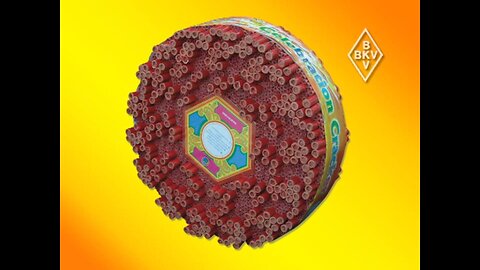 BKV - Celebration Crackers 500.000 - Ratelband Vuurwerk