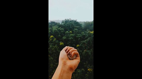 Gentle Rain in a Forest | Nature Sounds for Sleep, Study & Meditation