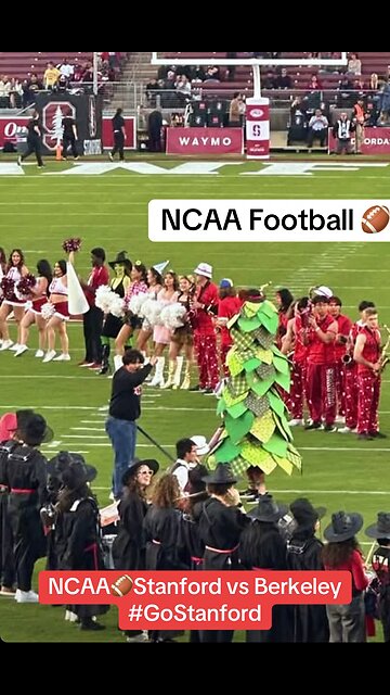 NCAA🏈Stanford vs Berkeley #GoStanford #trend #usa #us #stanford #football #ncaa #fyp #viral