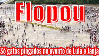 Flopou! Só gatos pingados no circo de horrores