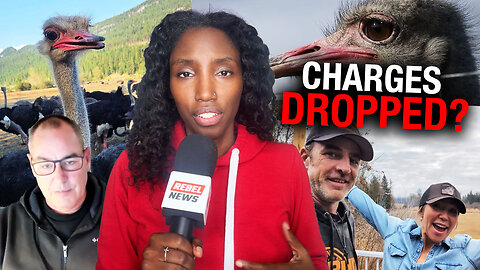 Public pushback, protests on the rise after CFIA’s senseless ostrich slaughter