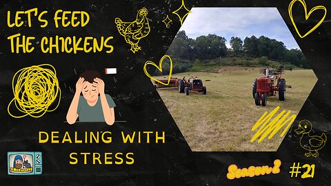 Dealing w/ Stress | Let's Feed the Chicken | E21