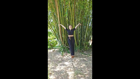 New dance by Diane Valanga