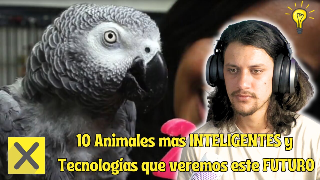 10 Animales mas INTELIGENTES y Tecnologías que veremos este FUTURO