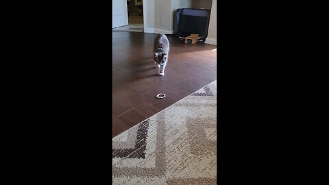 Part 3, Jr joins in the fun