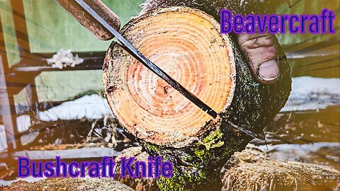 Is Beaver Craft a good budget option??? Beaver Craft Bushcraft Knife BSH1 DUNE