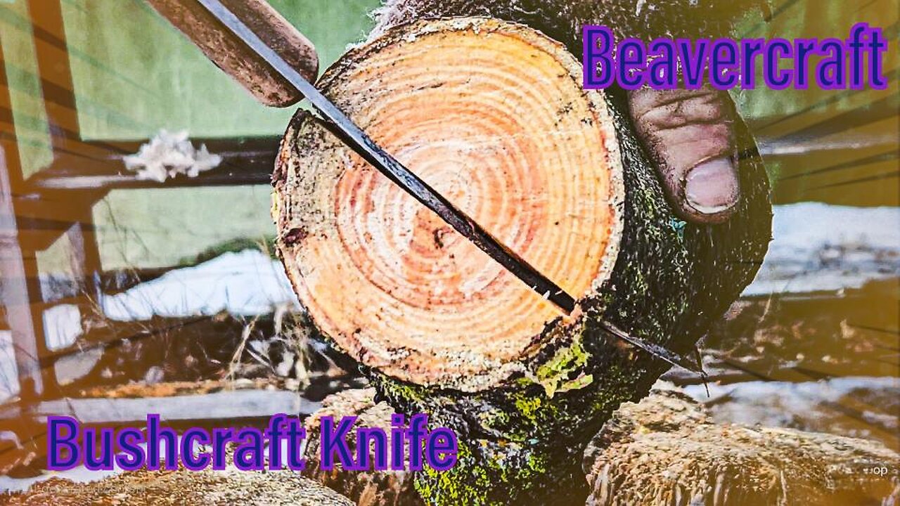 Is Beaver Craft a good budget option??? Beaver Craft Bushcraft Knife BSH1 DUNE