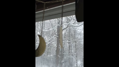 Monday Morning, Minding My business