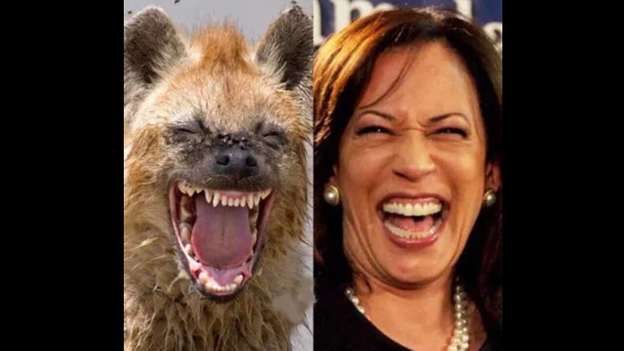 Cacklin' Kamala