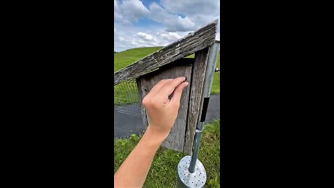 Adorable Baby Giraffe in a Nest – Cutest Wildlife Moment Ever!”