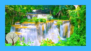 Relaxation Hack You Need To Know | Relaxing Piano Music with Water Sounds 🎹 Relaxing Music