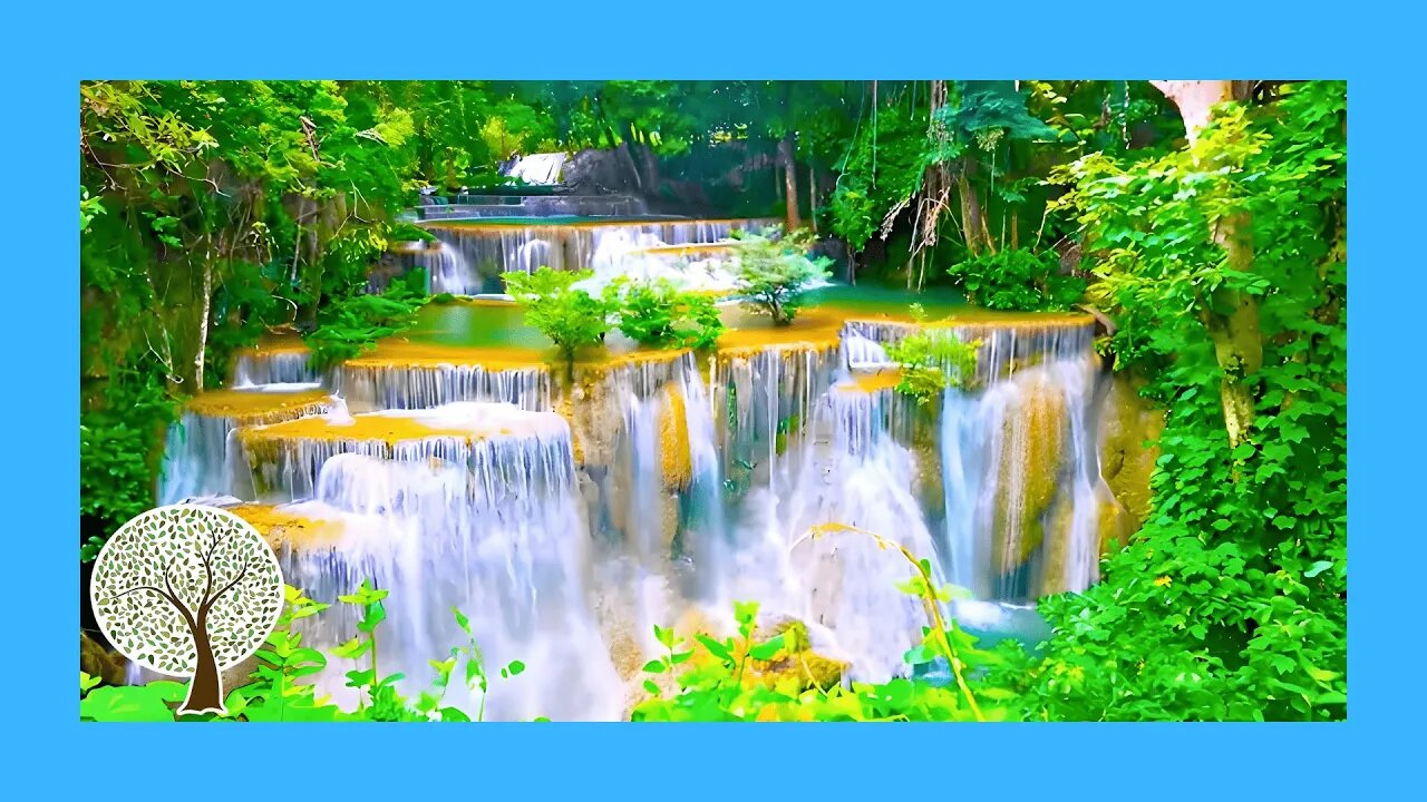 Relaxation Hack You Need To Know | Relaxing Piano Music with Water Sounds 🎹 Relaxing Music