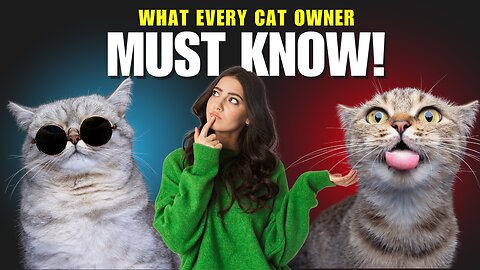 The Surprising Truth About CATS Nobody Tells You!