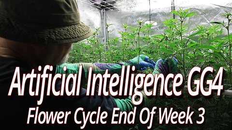 Artificial Intelligence GG4 Week 3, Blackdog LED Full Garden Update