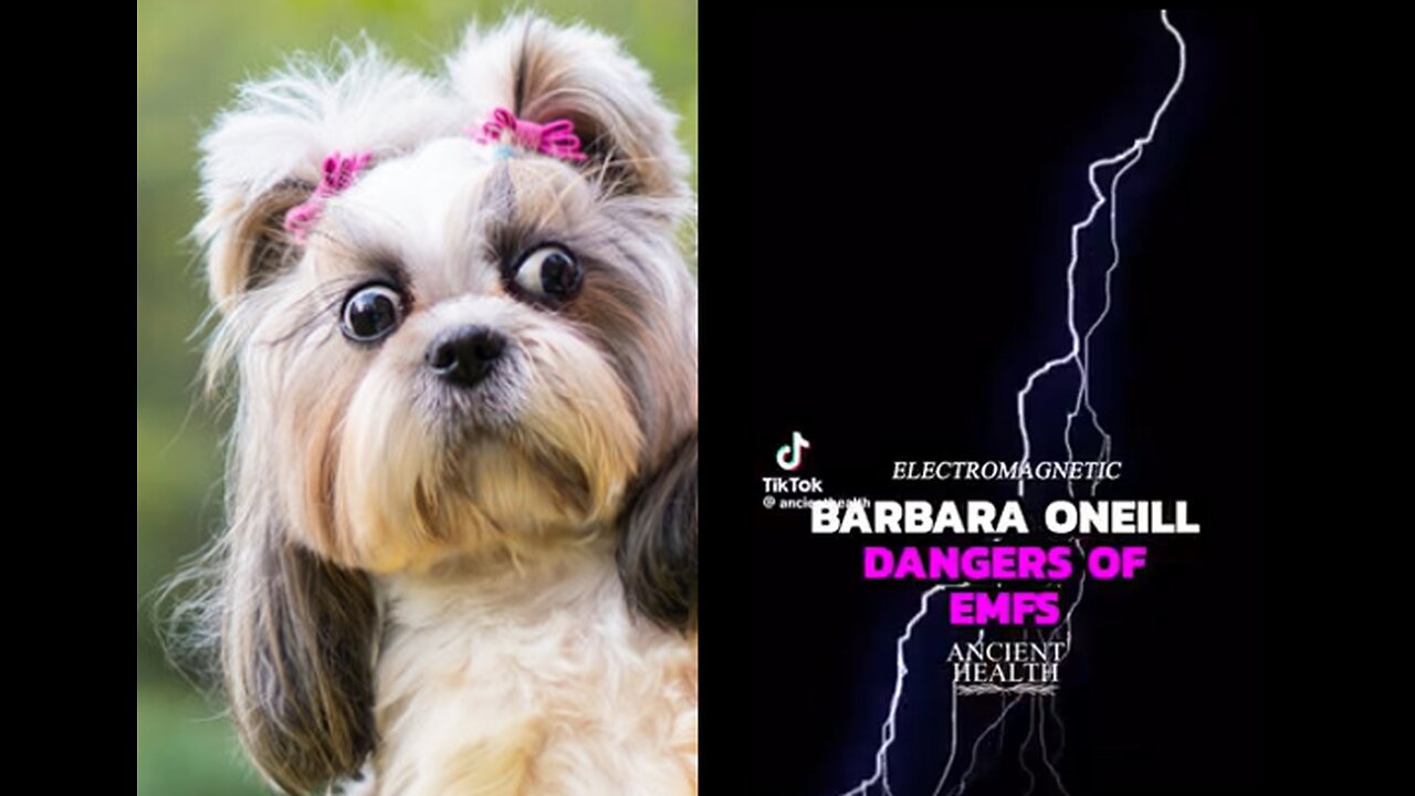 DANGERS OF EMFs BARBARA ONEILL