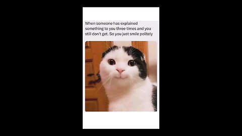 “When Life Gives You Funny Mood | Ultimate Meme Shorts” #FunnyMemes #MemeShorts #ViralVideo