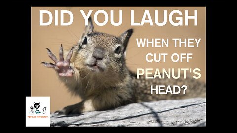 DID YOU LAUGH WHEN THEY CUT OFF PEANUT'S HEAD?