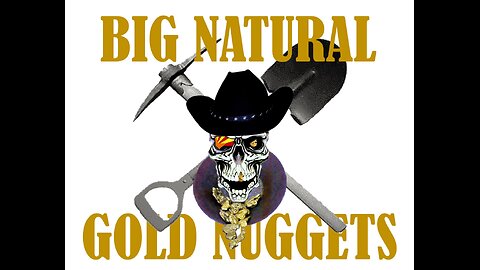 12125 Terry Reports - Real Adventure, Real gold! Gold Nuggets Found!
